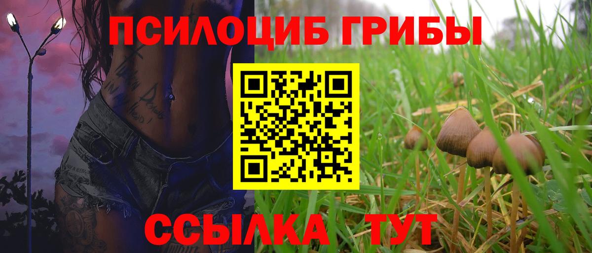 Галлюциногенные грибы Cubensis  Вход с VPN  Губаха 